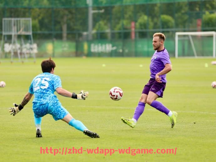 问鼎娱乐官网-法甲球员表现分析及赛季表现总结