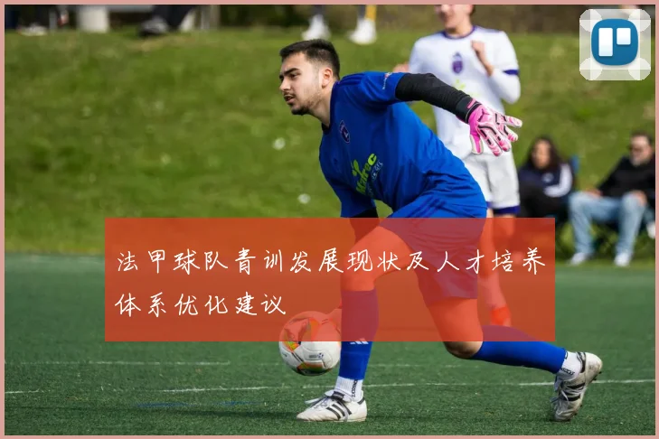 法甲球队青训发展现状及人才培养体系优化建议