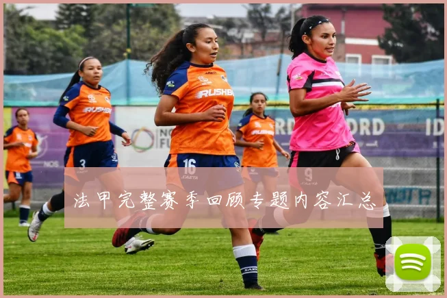 法甲完整赛季回顾专题内容汇总