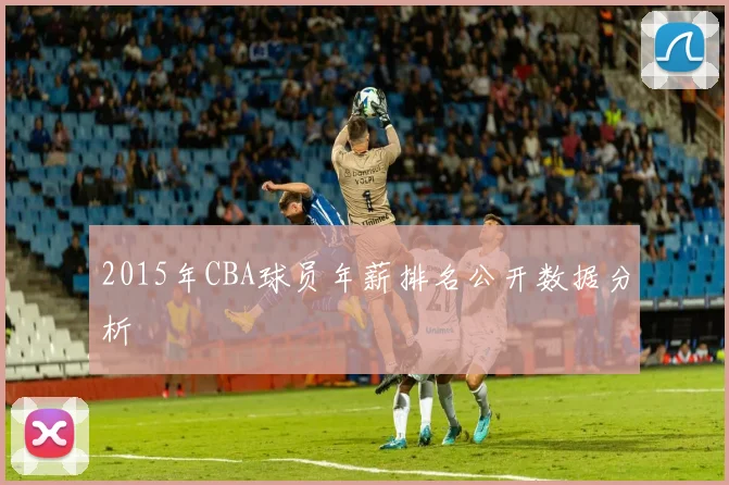 2015年CBA球员年薪排名公开数据分析