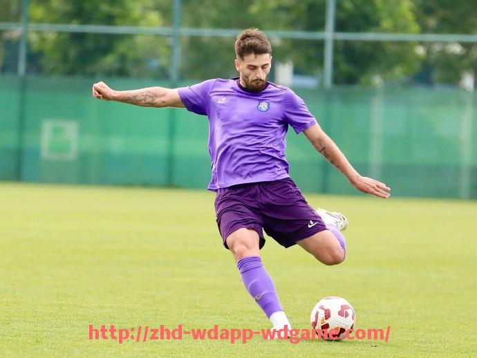 问鼎娱乐官网-德甲球队简称外号：盘点德甲球队的简称与外号背后的意义